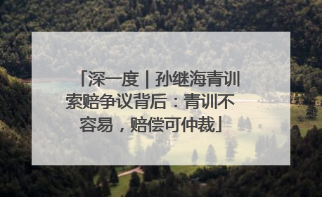 深一度｜孙继海青训索赔争议背后：青训不容易，赔偿可仲裁