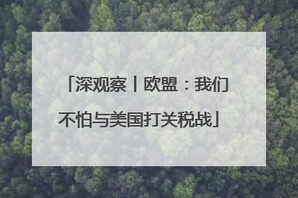 深观察丨欧盟：我们不怕与美国打关税战