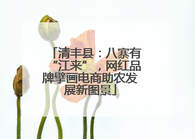 清丰县：八寨有“江来”，网红品牌擘画电商助农发展新图景