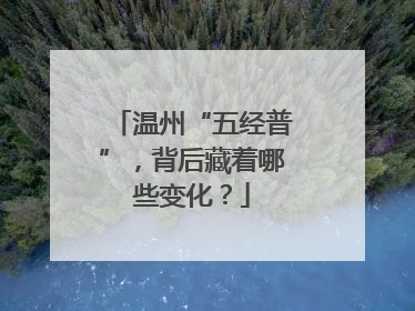 温州“五经普”，背后藏着哪些变化？