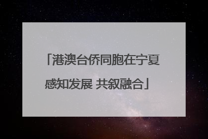 港澳台侨同胞在宁夏感知发展 共叙融合