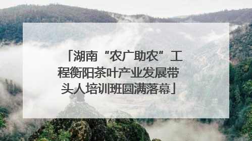 湖南“农广助农”工程衡阳茶叶产业发展带头人培训班圆满落幕
