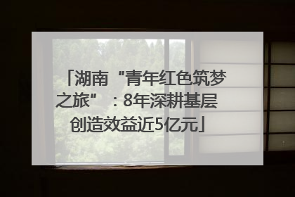 湖南“青年红色筑梦之旅”：8年深耕基层创造效益近5亿元