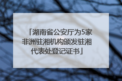 湖南省公安厅为5家非洲驻湘机构颁发驻湘代表处登记证书