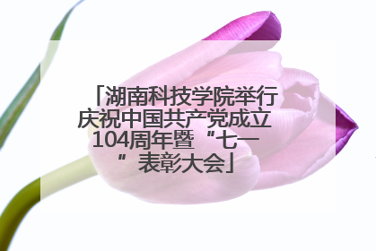 湖南科技学院举行庆祝中国共产党成立104周年暨“七一”表彰大会