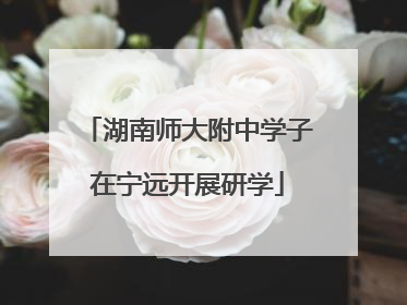湖南师大附中学子在宁远开展研学