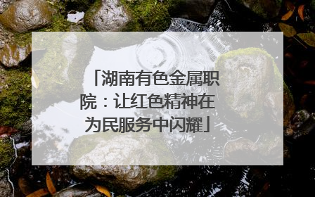 湖南有色金属职院：让红色精神在为民服务中闪耀