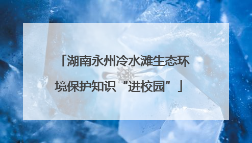 湖南永州冷水滩生态环境保护知识“进校园”