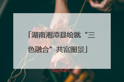 湖南湘潭县绘就“三色融合”共富图景