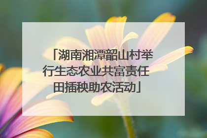 湖南湘潭韶山村举行生态农业共富责任田插秧助农活动