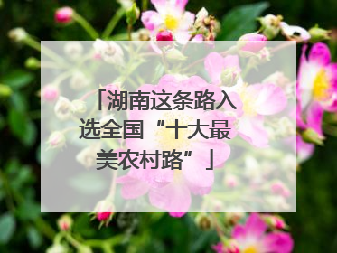 湖南这条路入选全国“十大最美农村路”