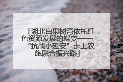 湖北白果树湾依托红色资源发展的蝶变——“抗战小延安”走上农旅融合振兴路