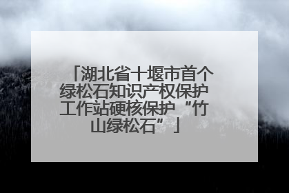 湖北省十堰市首个绿松石知识产权保护工作站硬核保护“竹山绿松石”