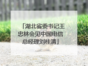 湖北省委书记王忠林会见中国电信总经理刘桂清