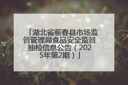 湖北省蕲春县市场监督管理局食品安全监督抽检信息公告（2025年第2期）