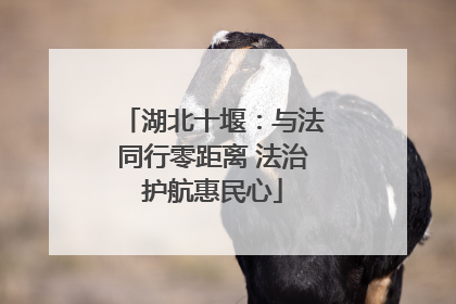 湖北十堰：与法同行零距离 法治护航惠民心