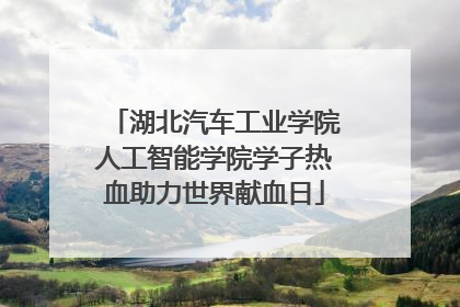 湖北汽车工业学院人工智能学院学子热血助力世界献血日