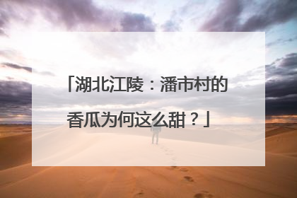 湖北江陵：潘市村的香瓜为何这么甜？