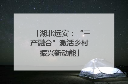 湖北远安：“三产融合”激活乡村振兴新动能