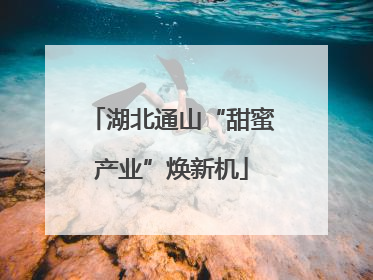 湖北通山“甜蜜产业”焕新机