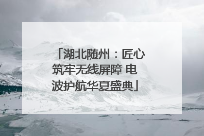 湖北随州：匠心筑牢无线屏障 电波护航华夏盛典