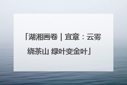 湖湘画卷｜宜章：云雾绕茶山 绿叶变金叶