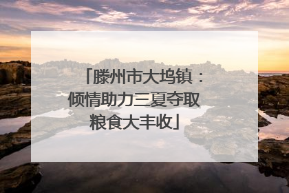 滕州市大坞镇：倾情助力三夏夺取粮食大丰收