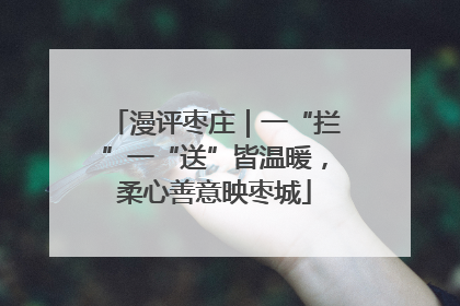 漫评枣庄｜一“拦”一“送”皆温暖，柔心善意映枣城