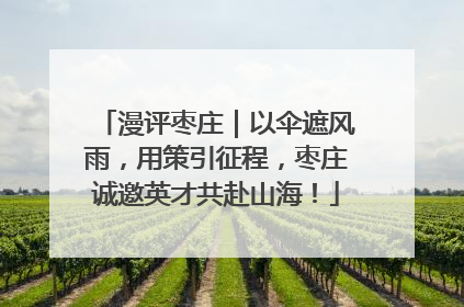 漫评枣庄｜以伞遮风雨，用策引征程，枣庄诚邀英才共赴山海！