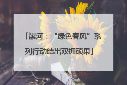 漯河：“绿色春风”系列行动结出双拥硕果