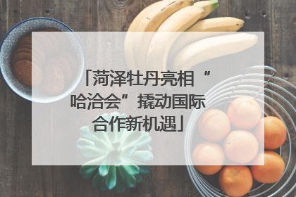 菏泽牡丹亮相“哈洽会”撬动国际合作新机遇