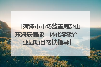 菏泽市市场监管局赴山东海辰储能一体化零碳产业园项目帮扶指导