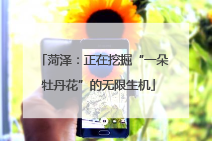 菏泽：正在挖掘“一朵牡丹花”的无限生机