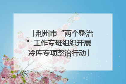荆州市“两个整治”工作专班组织开展冷库专项整治行动
