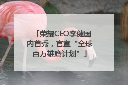 荣耀CEO李健国内首秀，官宣“全球百万雄鹰计划”