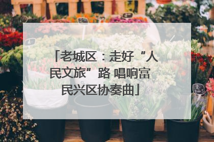 老城区：走好“人民文旅”路 唱响富民兴区协奏曲