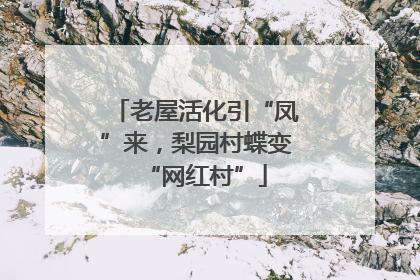 老屋活化引“凤”来，梨园村蝶变“网红村”