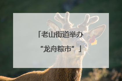 老山街道举办“龙舟粽市”