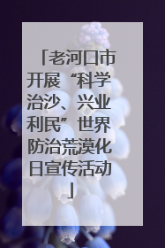 老河口市开展“科学治沙、兴业利民”世界防治荒漠化日宣传活动