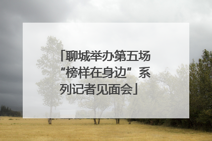 聊城举办第五场“榜样在身边”系列记者见面会
