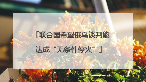 联合国希望俄乌谈判能达成“无条件停火”
