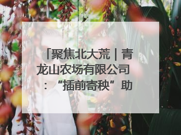 聚焦北大荒｜青龙山农场有限公司：“插前寄秧”助力农业节本增效