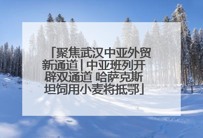 聚焦武汉中亚外贸新通道│中亚班列开辟双通道 哈萨克斯坦饲用小麦将抵鄂