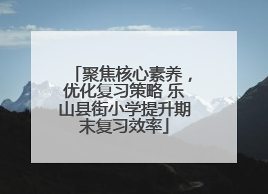 聚焦核心素养，优化复习策略 乐山县街小学提升期末复习效率