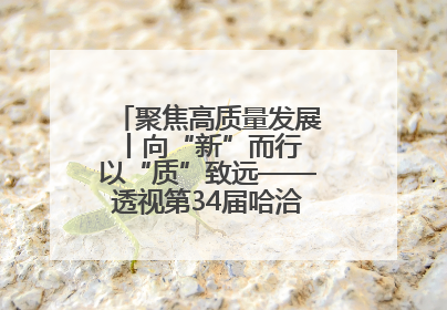 聚焦高质量发展丨向“新”而行 以“质”致远——透视第34届哈洽会上的创新动能