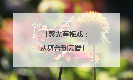 聚光黄梅戏：从舞台到云端