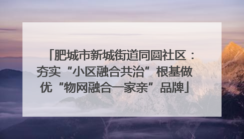 肥城市新城街道同圆社区：夯实“小区融合共治”根基做优“物网融合一家亲”品牌