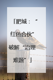 肥城：“红色合伙”破解“治理难题”