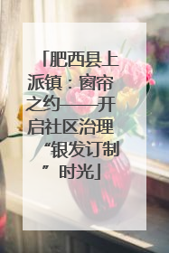 肥西县上派镇：窗帘之约——开启社区治理“银发订制”时光