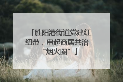 胜阳港街道党建红纽带，串起商居共治 “烟火圈”